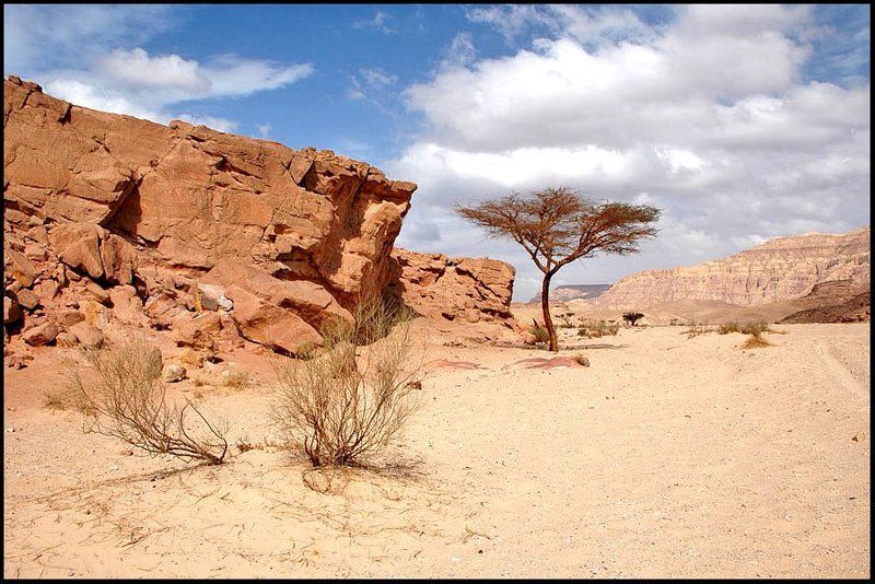 Египет Каменистая пустыняphoto preview