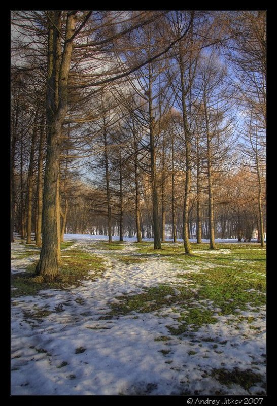 москва, весна, март, снег, трава, деревья, пейзаж, photohunter Весна наступает..photo preview