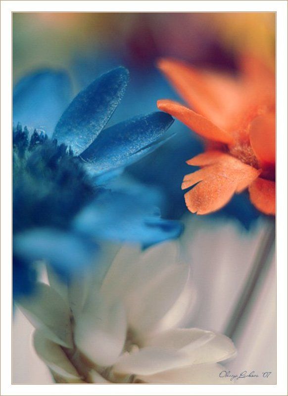 теплоphoto preview