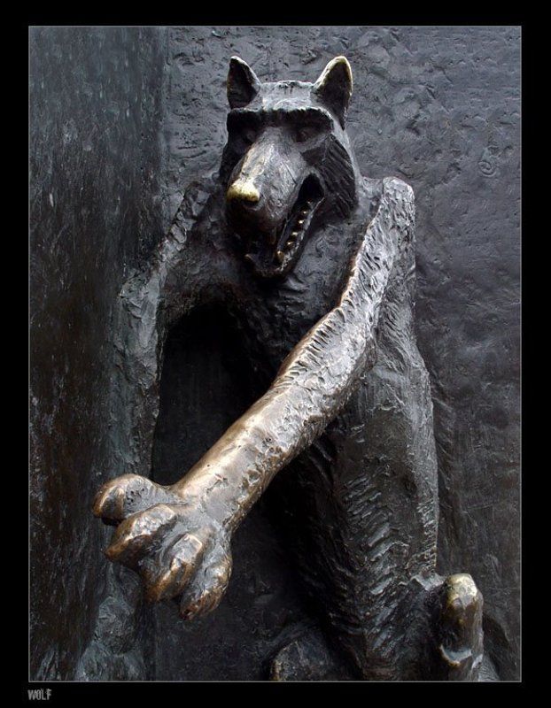 волк, wolf wolfphoto preview