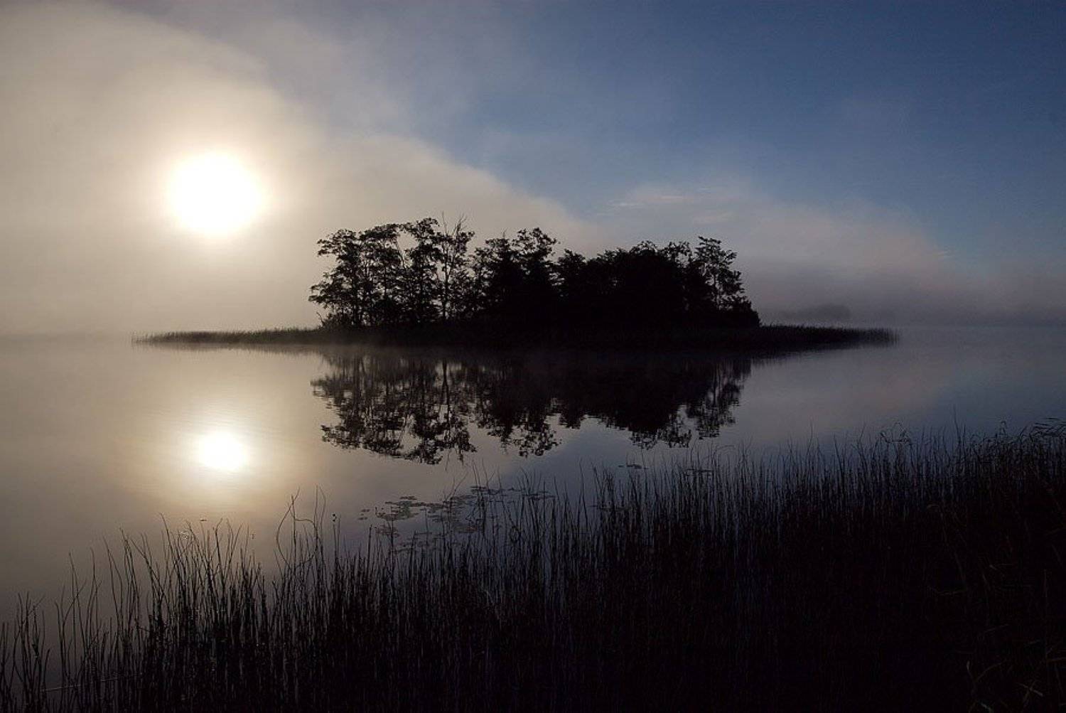 селигеское утро. Автор: Михаил Гризли селигер, озеро, остров, рассвет, полновский плес, Михаил Гризли
