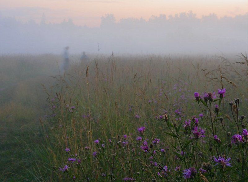 назавтра была жараphoto preview