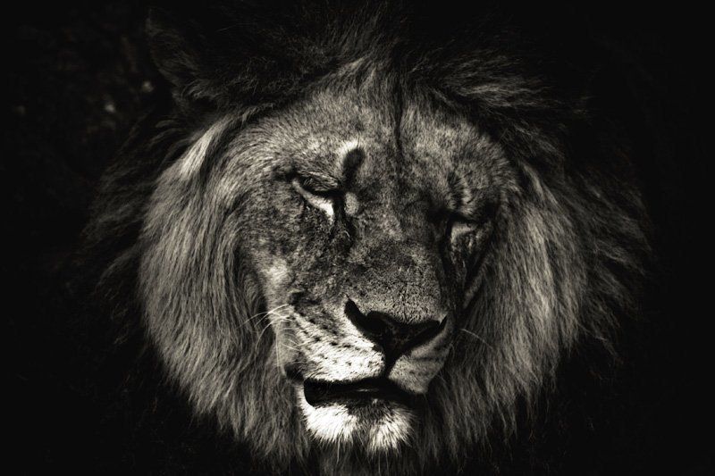 грусть...photo preview