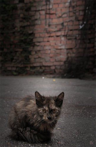 А на улице дождь..