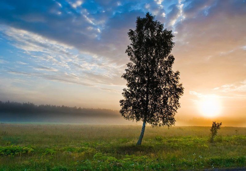 Утро в Клинской волостиphoto preview