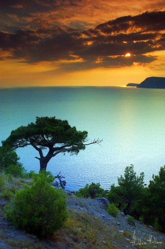 Cyan Seaphoto preview