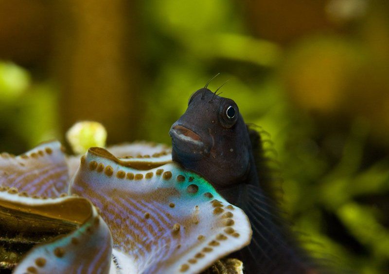 Отдыхаю я тут...photo preview