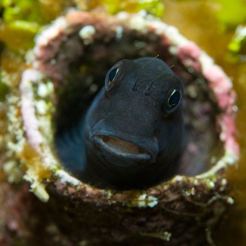 ЗДРАСЬТЕ!photo preview