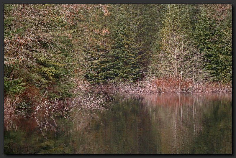 Весна идётphoto preview