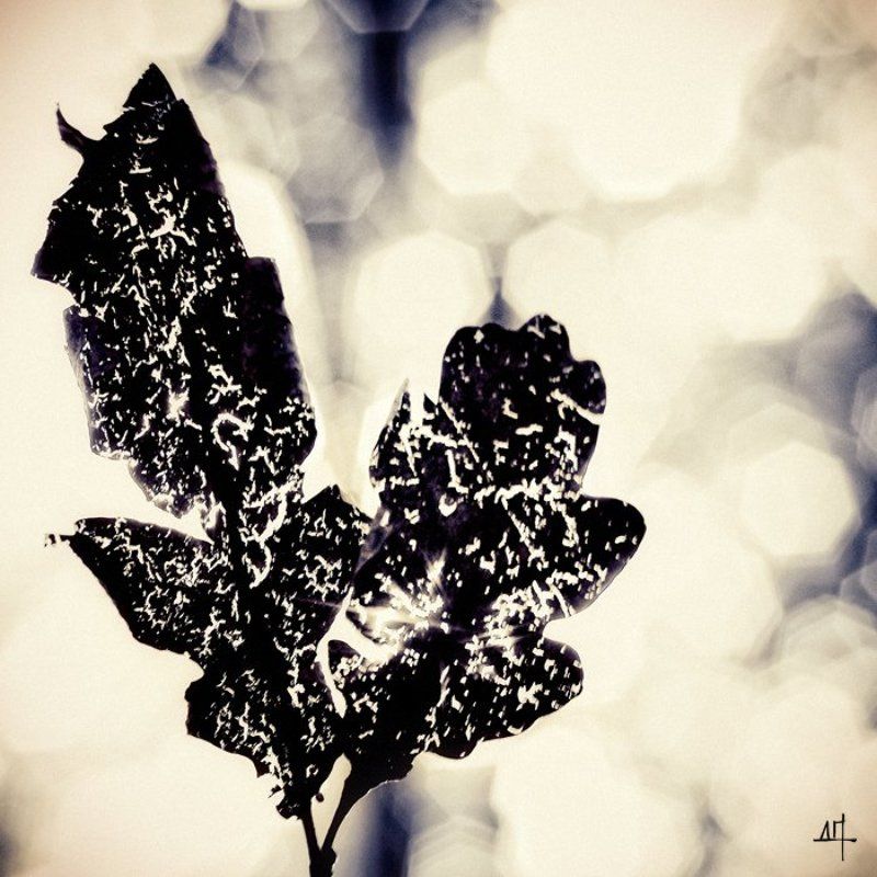 Осеньphoto preview