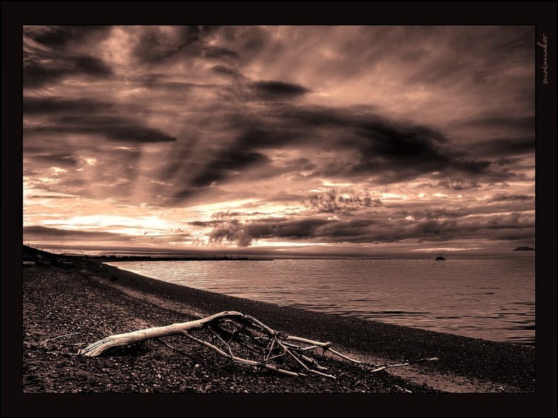 Литоральphoto preview