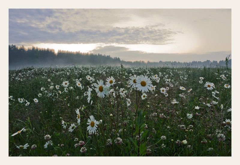 *********photo preview