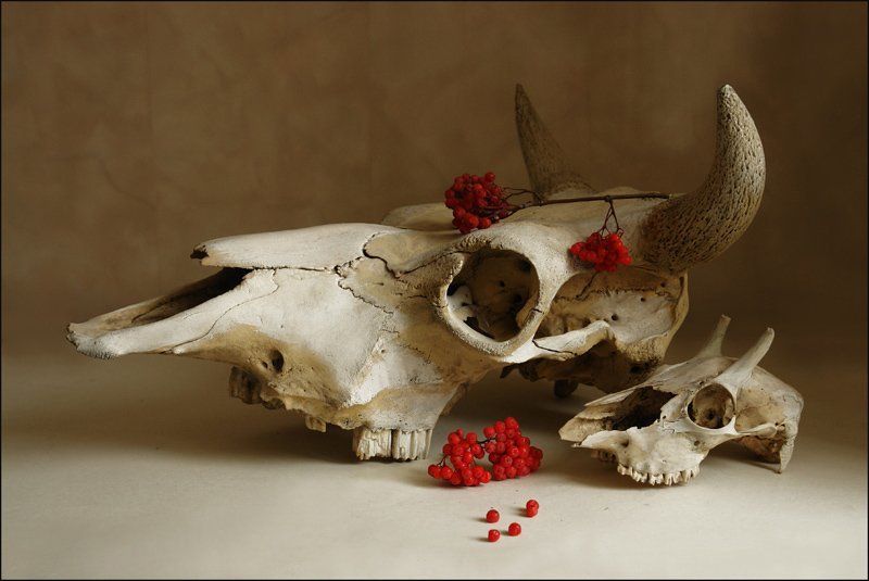 прогулкаphoto preview