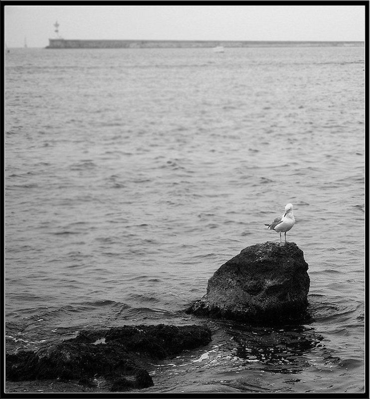 Чайка и маякphoto preview