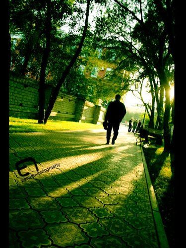 pseudo-lomography (или 