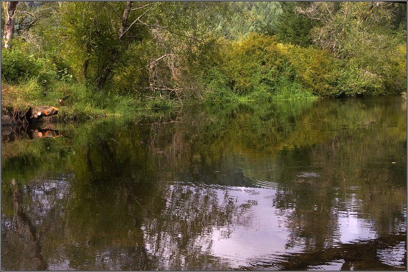 Тишина в полденьphoto preview