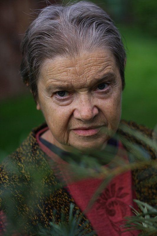 портрет Бабушкаphoto preview