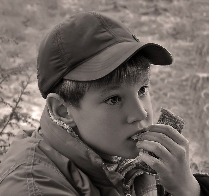 А Васька слушает , да ест !photo preview