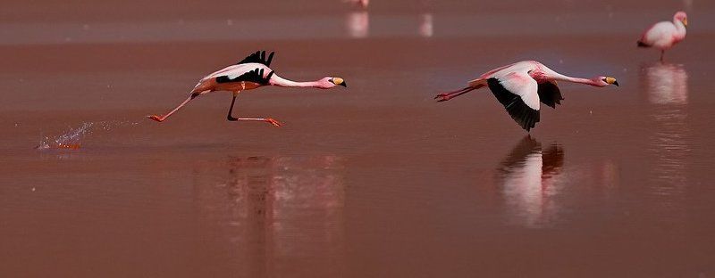 Pink storiesphoto preview