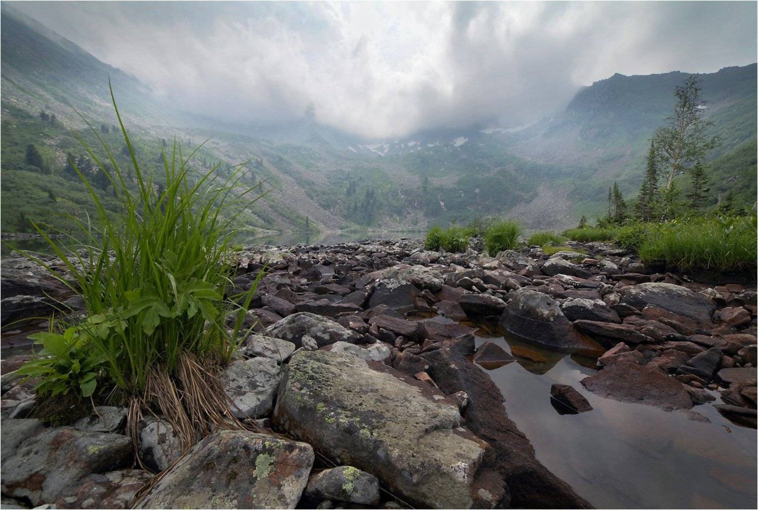 , Устинович Александр