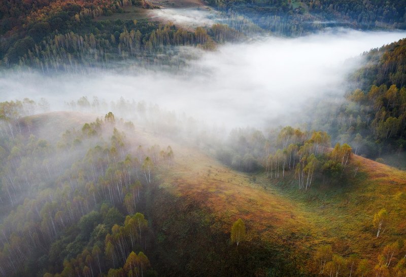 mountains, apuseni, romania, sunrise, landscape, nature, travel, autumn, trees, fog Misty Riverphoto preview