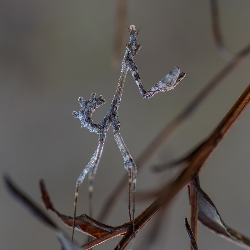 War of the Worldsphoto preview