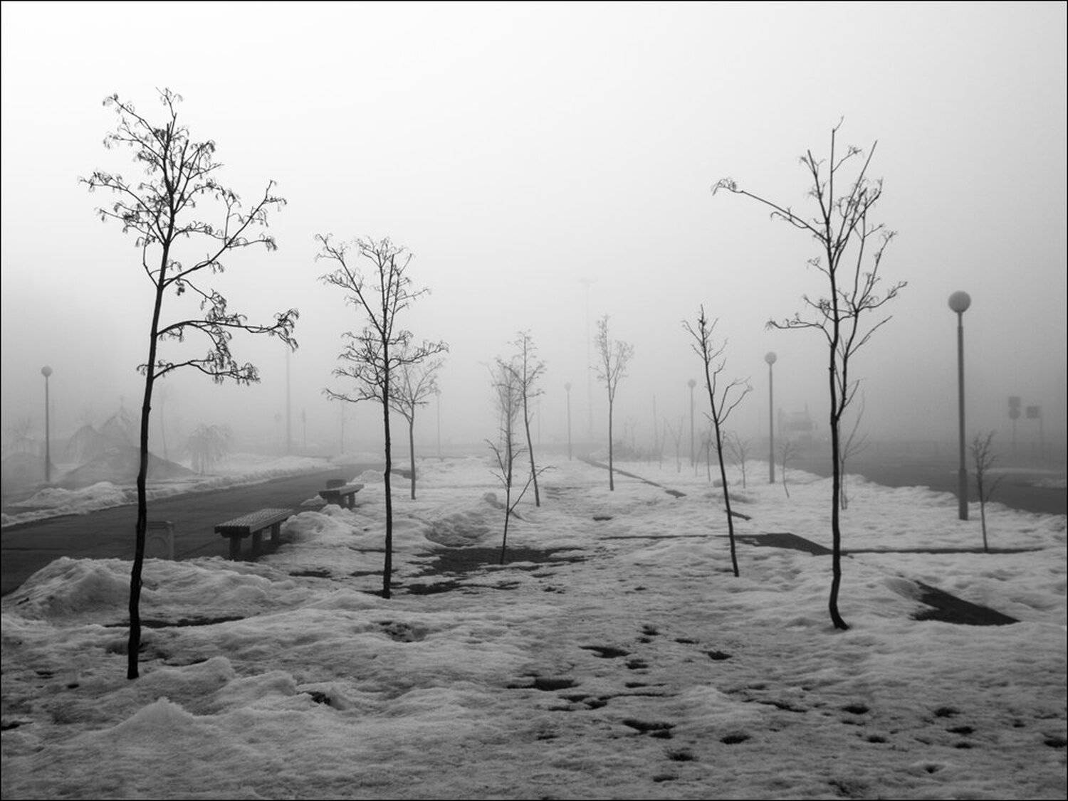 , Крицак Ольга