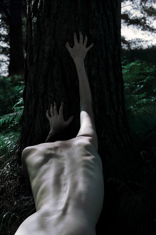 nature absorptionphoto preview