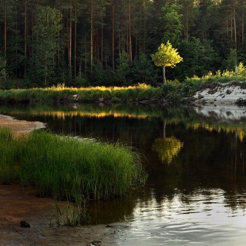 Воспоминания о Лухе
