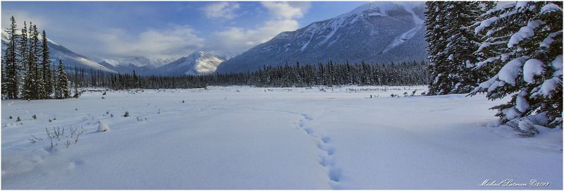 По следам Джека...photo preview