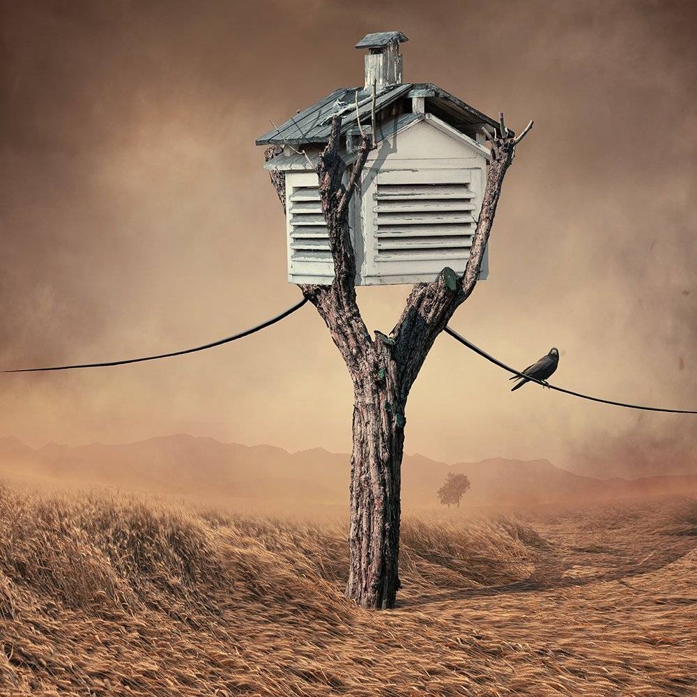 tree, house, cable, crow, bird, psd, tutorials, manipulation, carasdesign, sky, mounting, clouds, light, roof, Caras Ionut