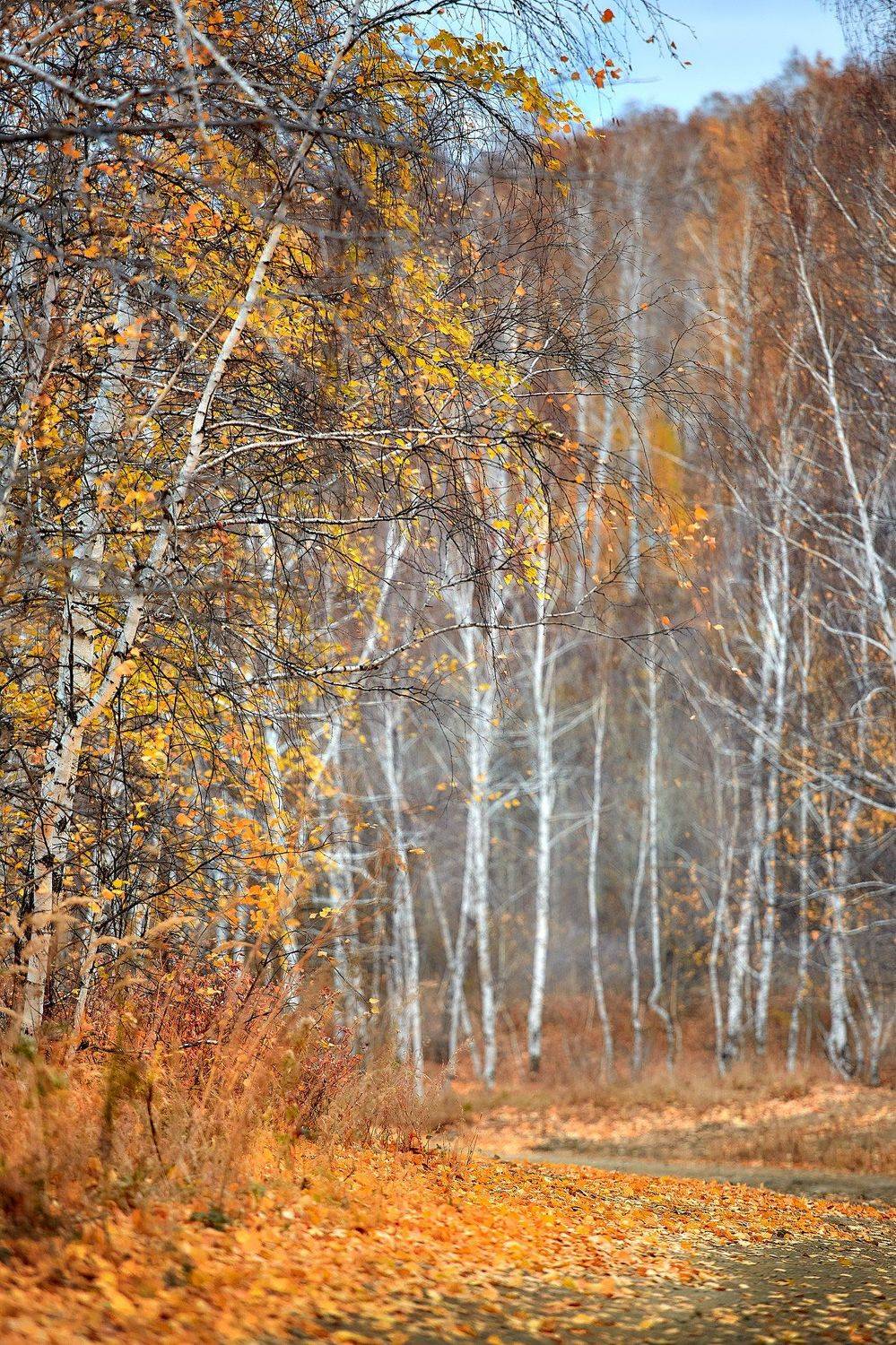 южный урал,оренбургская область, орск, новотроицк,башкирия, башкиртостан, Качурин Алексей