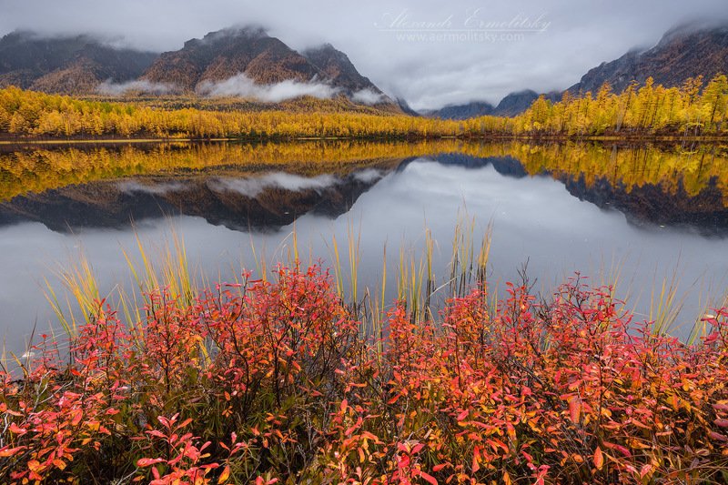 забайкалье, кодар ~ Харьюзовое ~photo preview