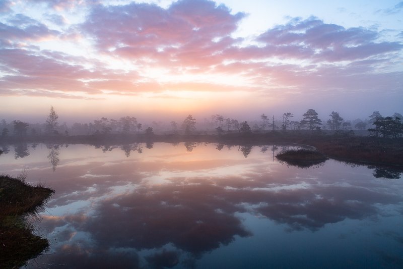 Wild thingsphoto preview