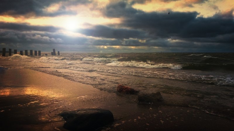 Заливphoto preview