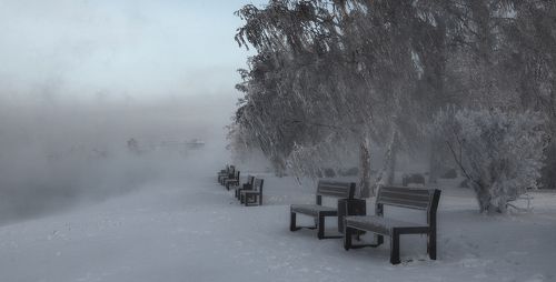 Берега в куржаке