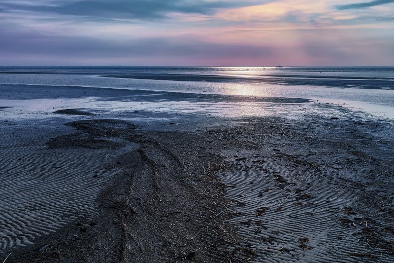 море, белое, берег, отлив, водоросли, вечер, закат, вода, облака Вечер у моряphoto preview