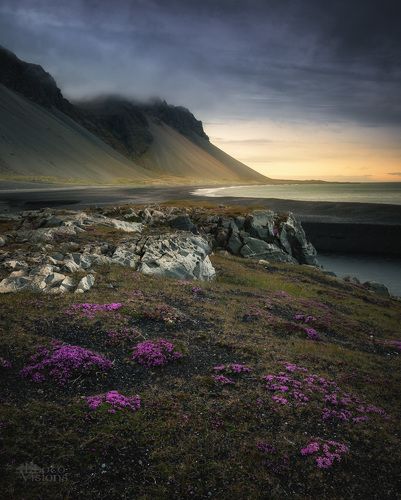 Shores of Iceland