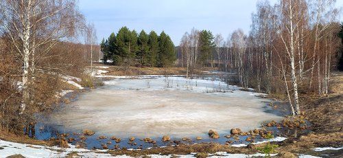 Комары