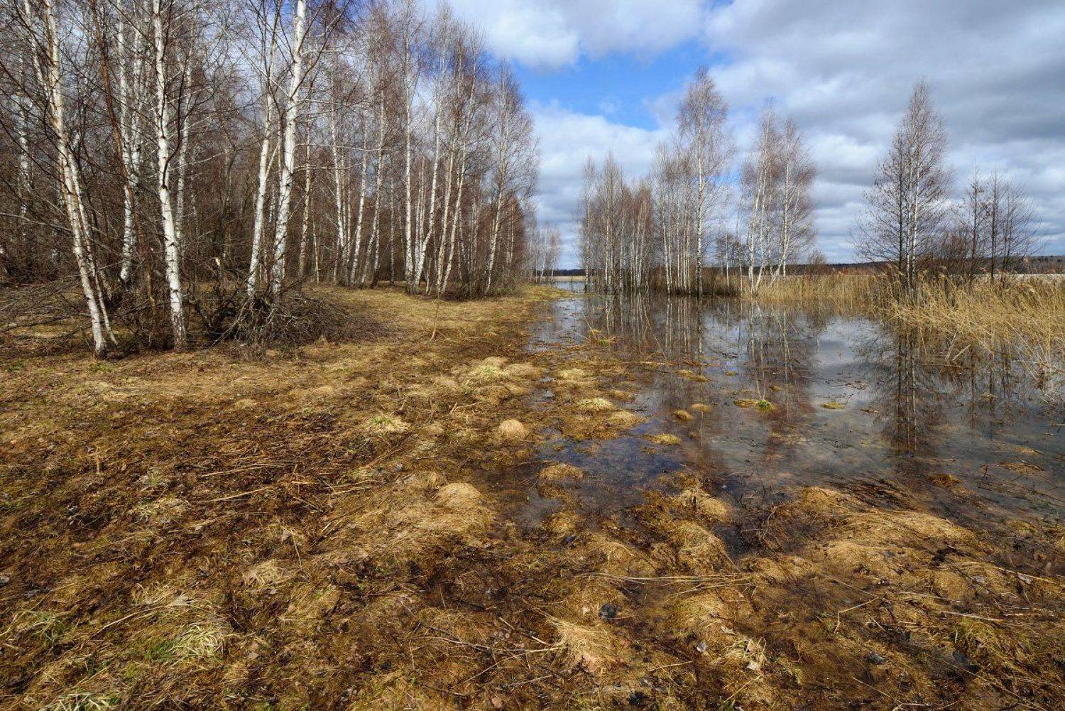 ***. Автор: Максим Евдокимов вашутинское, озеро, Максим Евдокимов