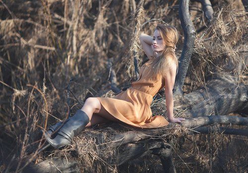 Country Star