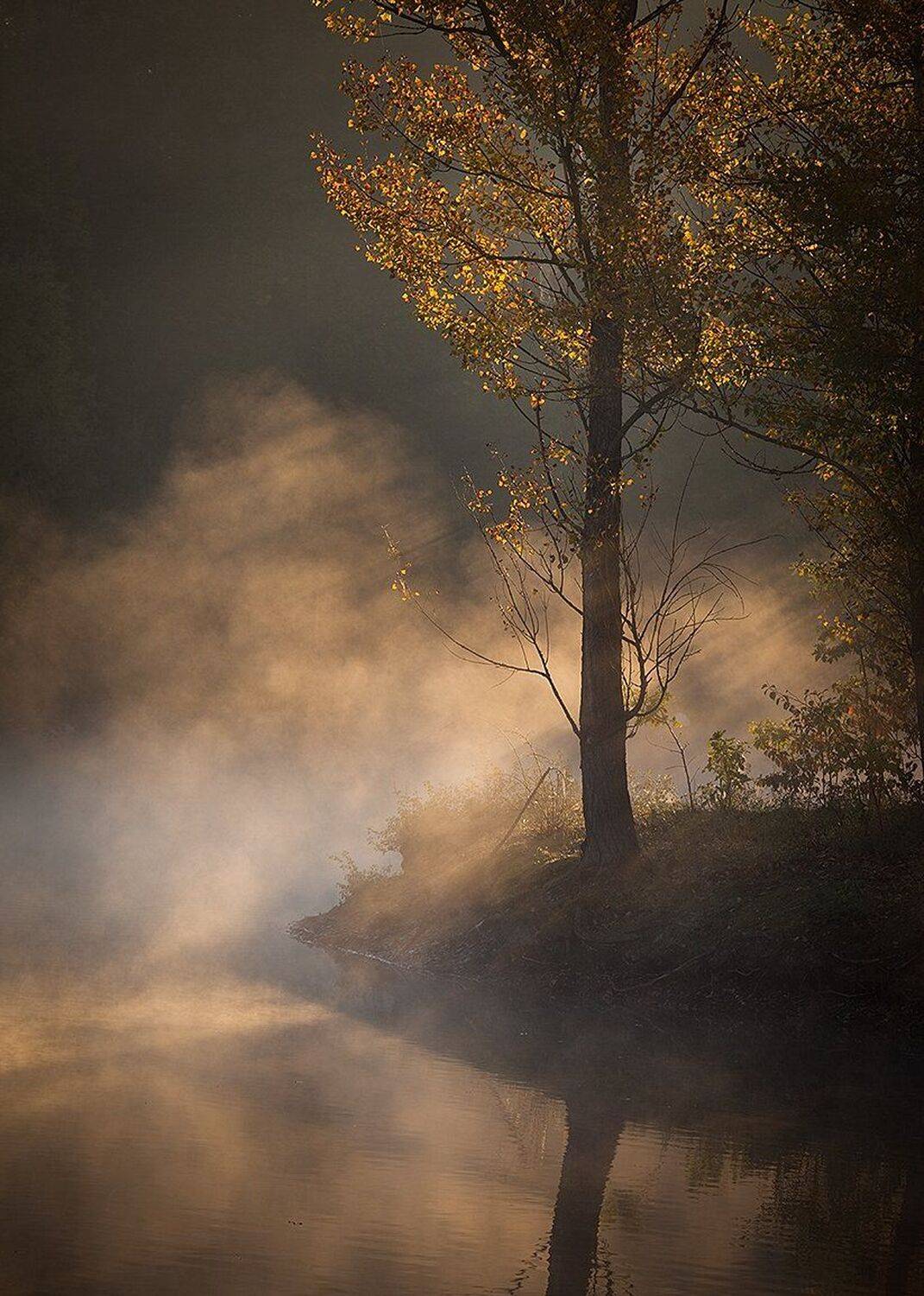 , Robert Adamec