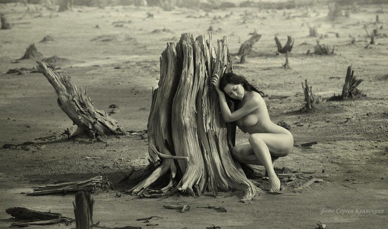 скорбь земли, сергей коляскин, экология, природа, деревья, смерть, загрязнение, вырубки Скорбь Землиphoto preview