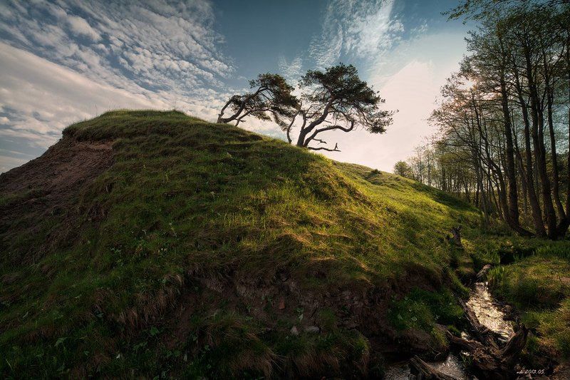 на зло ветрам...Юркалнеphoto preview