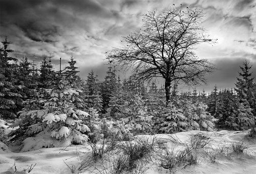 Winter in my country