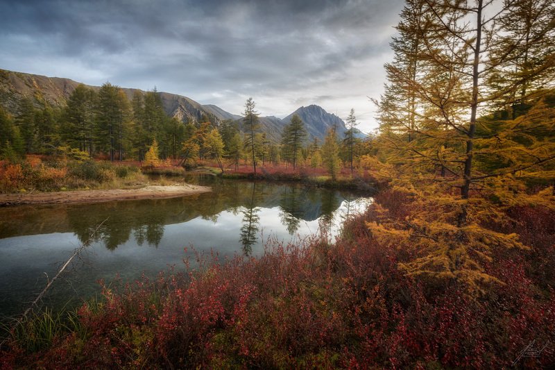 Ручей Неведомыйphoto preview