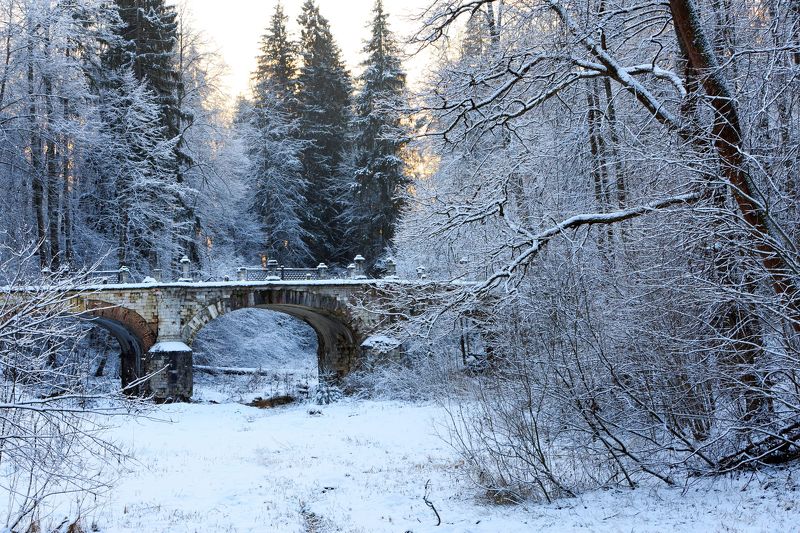 Первый день зимыphoto preview