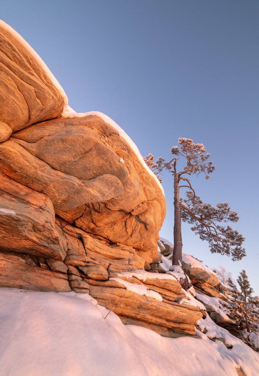 , Илья Логачёв