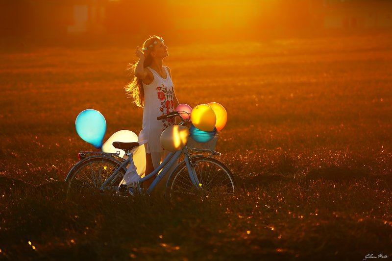 passenger at sunsetphoto preview