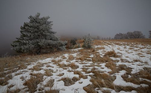 Туманно 2